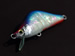 Sprout Lures 「Warhorse - Shell Tank」　ストームブルー春嵐　　Photo 5 / 10