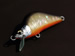Sprout Lures 「Warhorse - Shell Tank」　ベイトブラック　　Photo 7 / 10