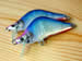 Sprout Lures 「Warhorse - Shell Fat」　ストームブルー春嵐　　Photo 8 / 9